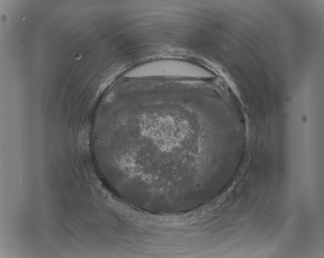 X0000076080010200610061627