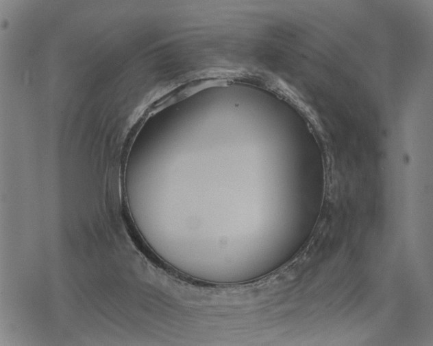 X0000076080011200610061627