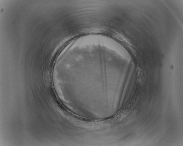 X0000076080012200610061627