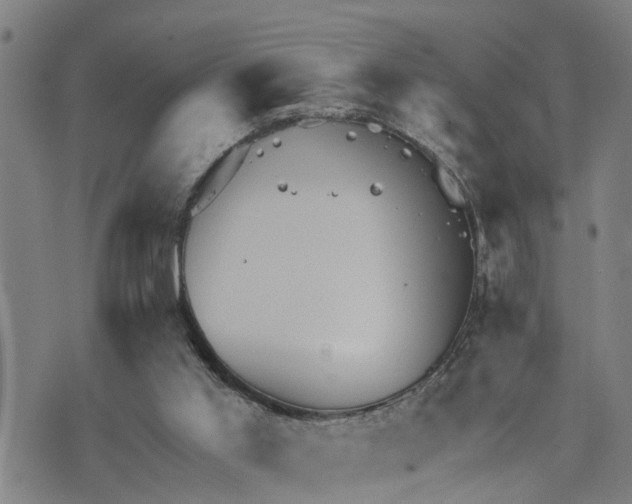 X0000076080013200610061627