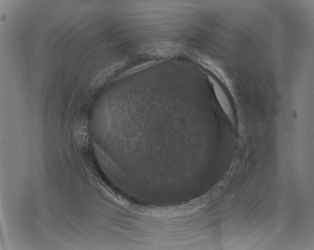 X0000076080017200610061627