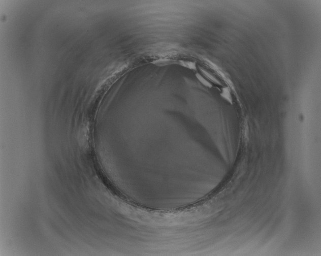 X0000076080018200610061627