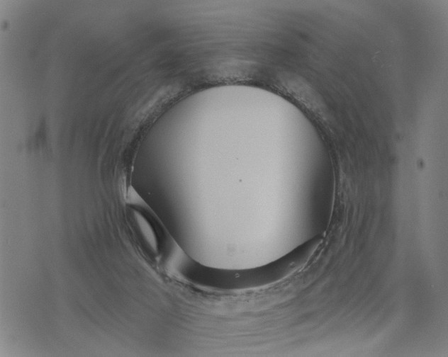 X0000076080021200610061627