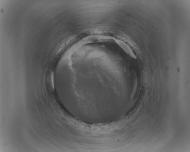 X0000076080022200610061627