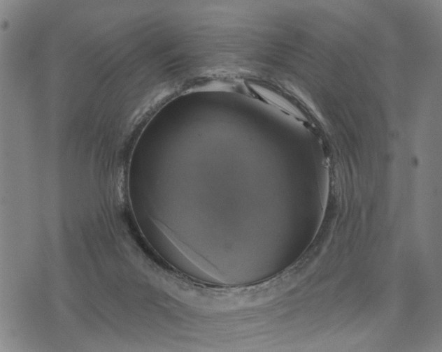 X0000076080023200610061627