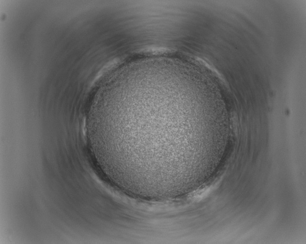 X0000076080024200610061627