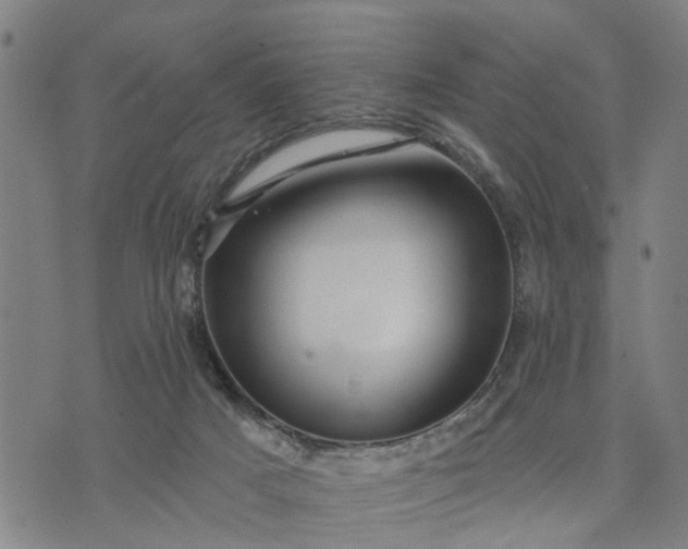 X0000076080025200610061627