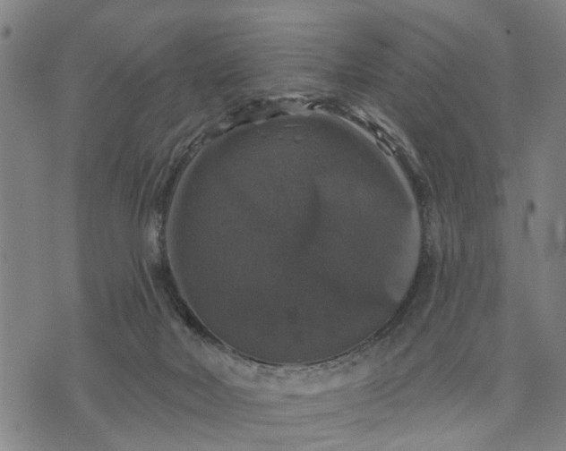 X0000076080026200610061627