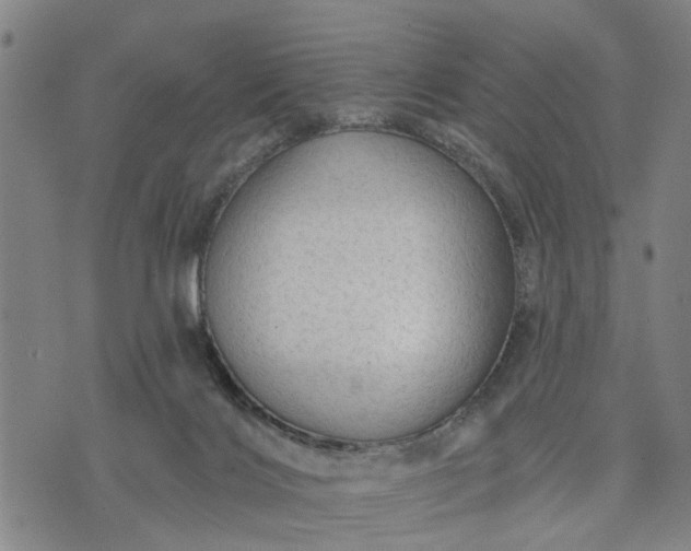 X0000076080028200610061627