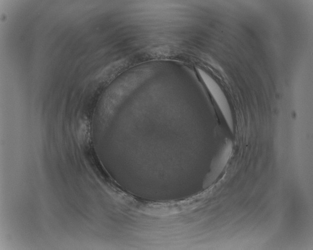 X0000076080029200610061627