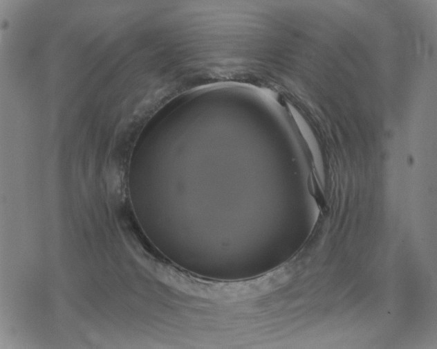 X0000076080031200610061627