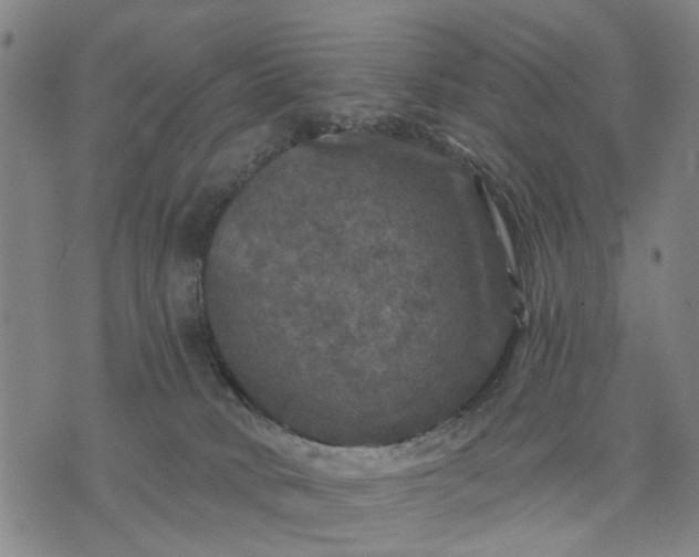 X0000076080034200610061627