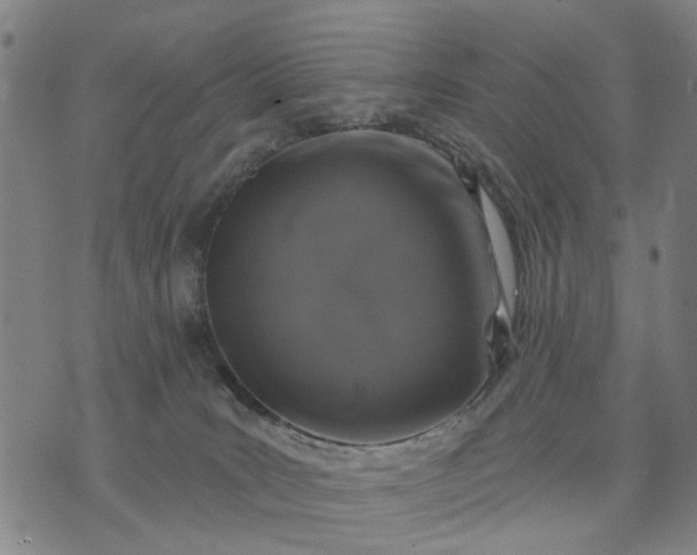 X0000076080035200610061627