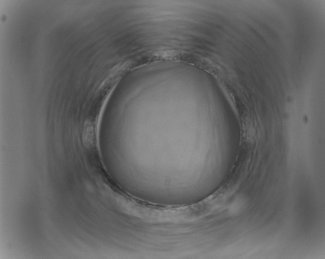 X0000076080036200610061627