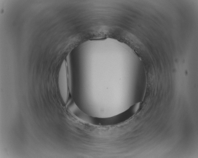 X0000076080037200610061627