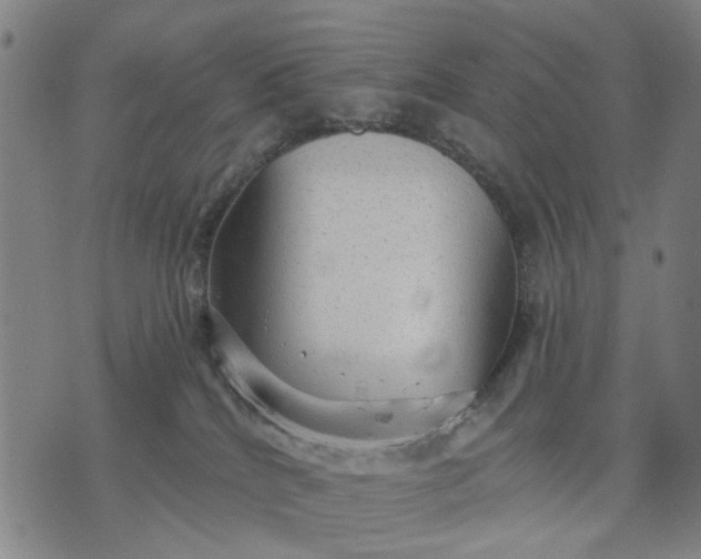 X0000076080040200610061627