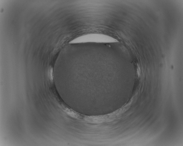 X0000076080041200610061627