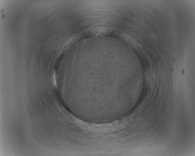 X0000076080042200610061627