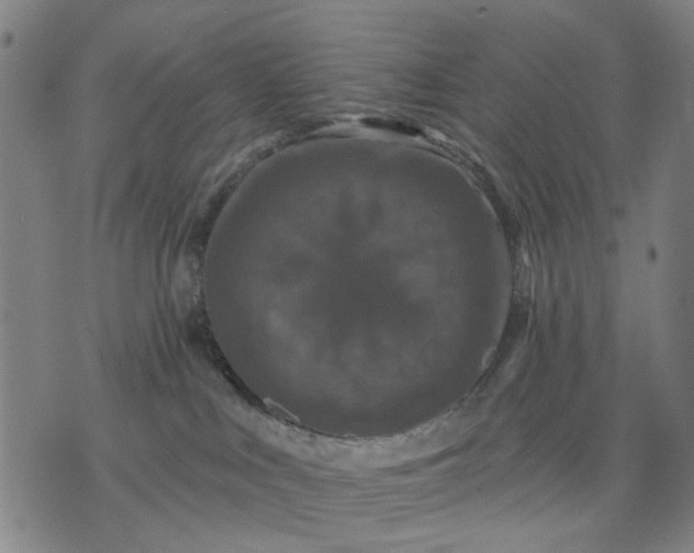 X0000076080043200610061627