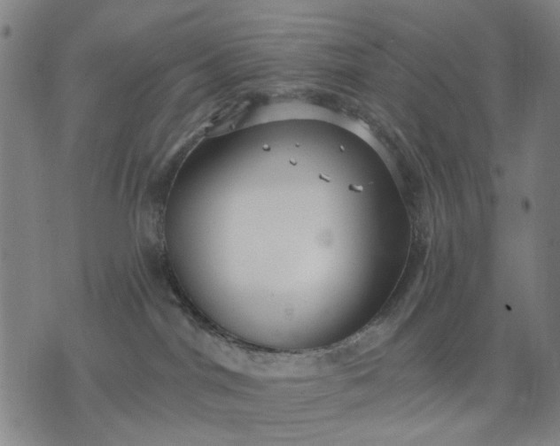 X0000076080044200610061627