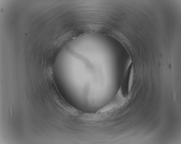 X0000076080045200610061627