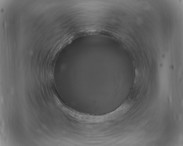 X0000076080048200610061627