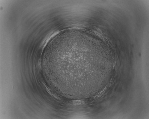 X0000076080050200610061626