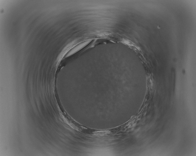 X0000076080051200610061626