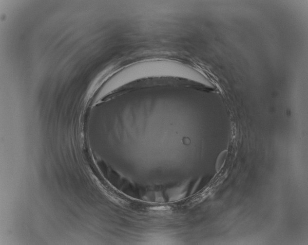 X0000076080053200610061626