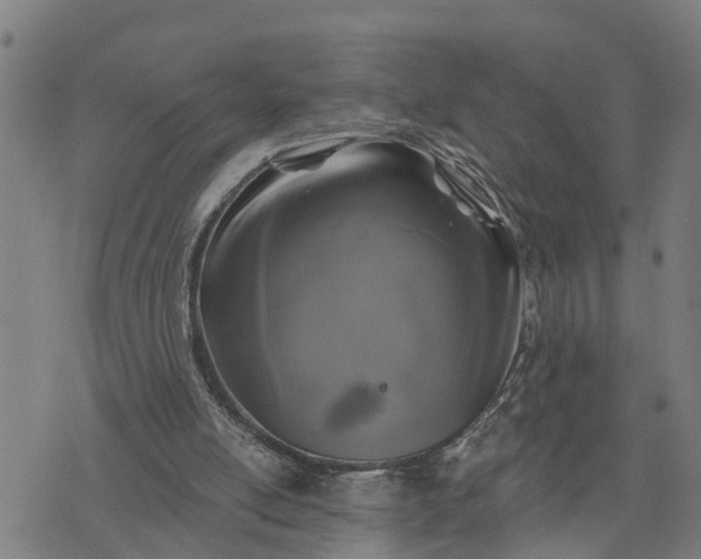 X0000076080054200610061626