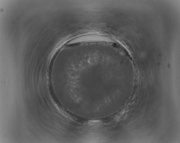 X0000076080055200610061626