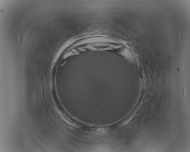 X0000076080056200610061626