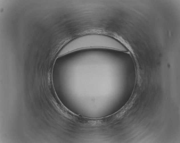 X0000076080057200610061626