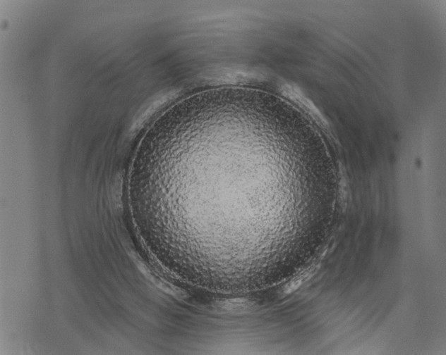 X0000076080058200610061626