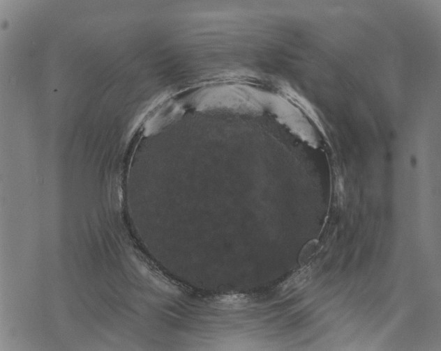 X0000076080059200610061626