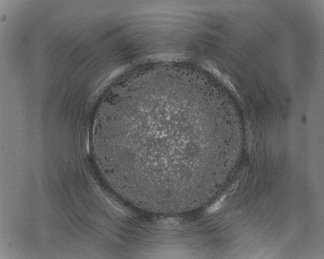 X0000076080062200610061626