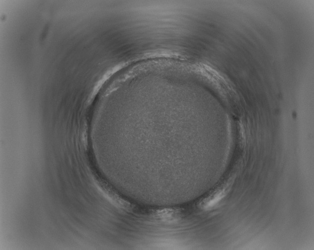 X0000076080064200610061626