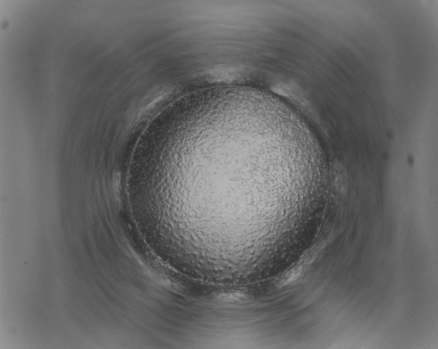 X0000076080066200610061626