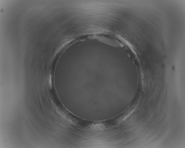 X0000076080067200610061626