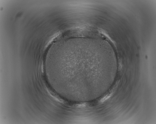 X0000076080068200610061626