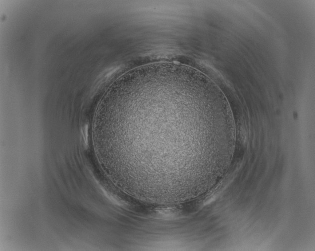 X0000076080070200610061626