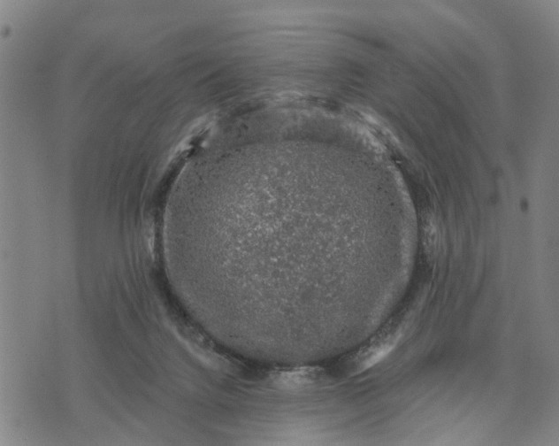 X0000076080072200610061626