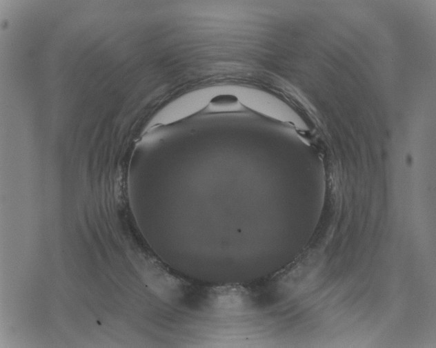 X0000076080073200610061626