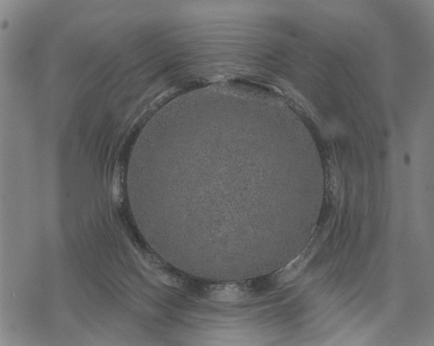 X0000076080074200610061626