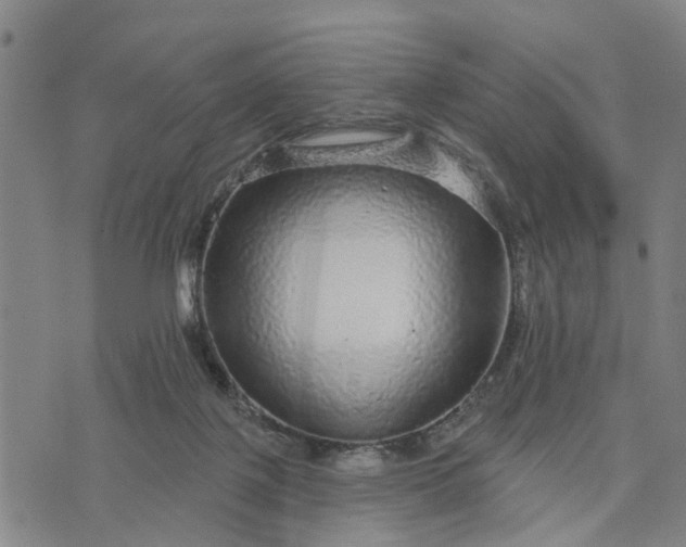 X0000076080075200610061626