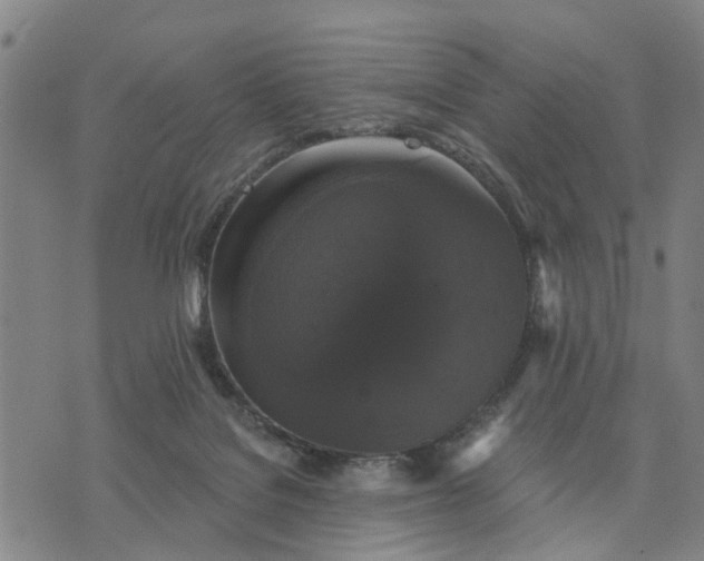 X0000076080076200610061626