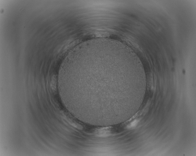 X0000076080078200610061626