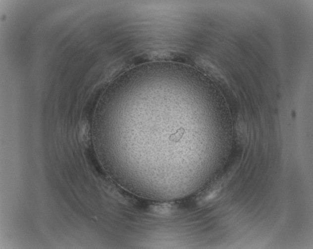 X0000076080079200610061626