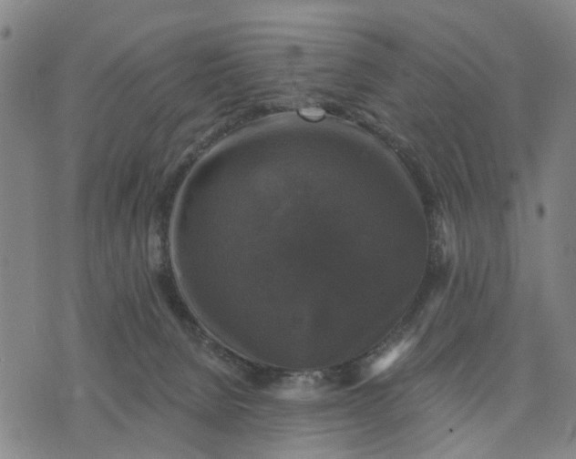 X0000076080080200610061626