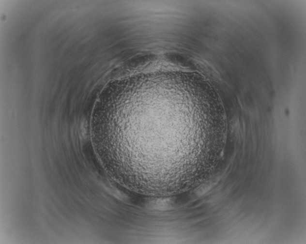 X0000076080081200610061626